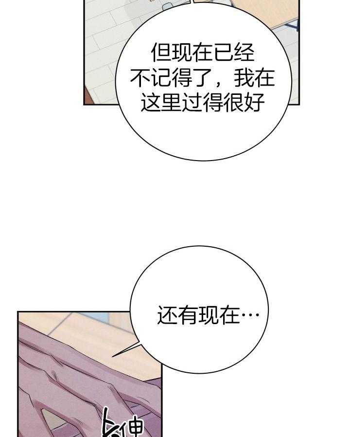 珊瑚食者第104话图