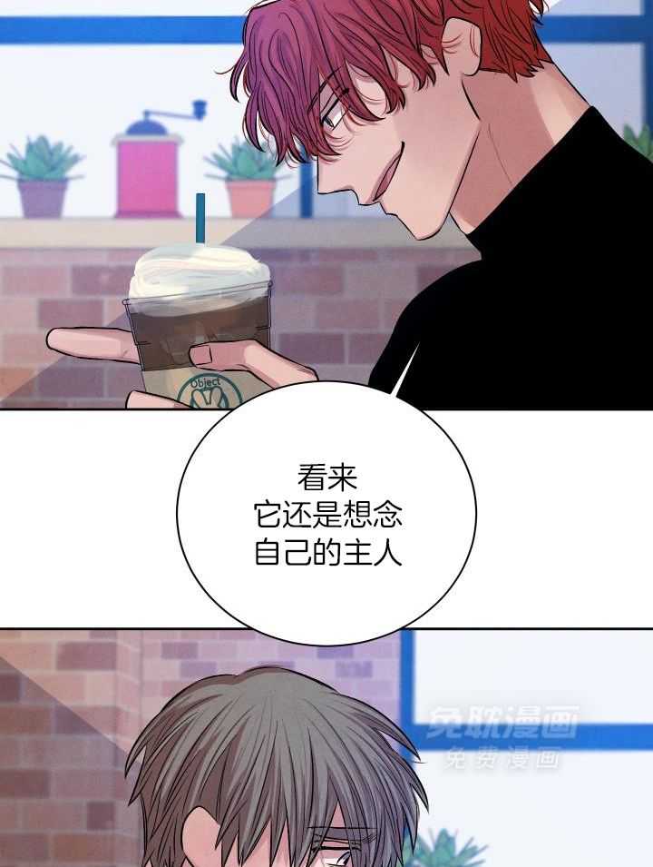 珊瑚食者第116话图