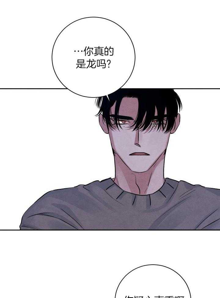 珊瑚食者第116话图