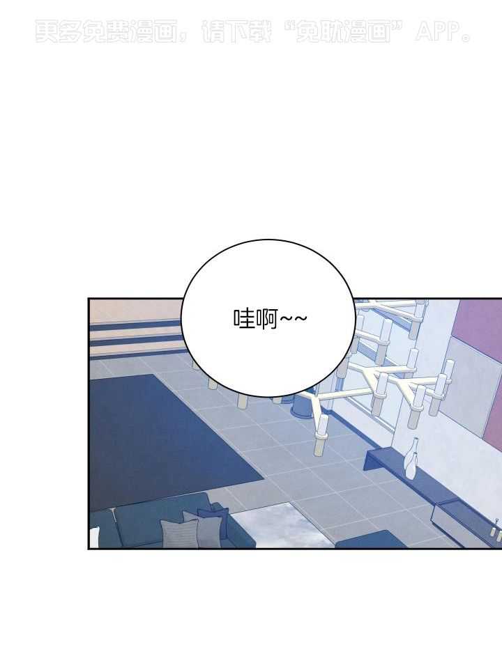 珊瑚食者第117话图