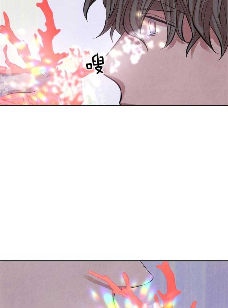 珊瑚食者 第2话 第36页