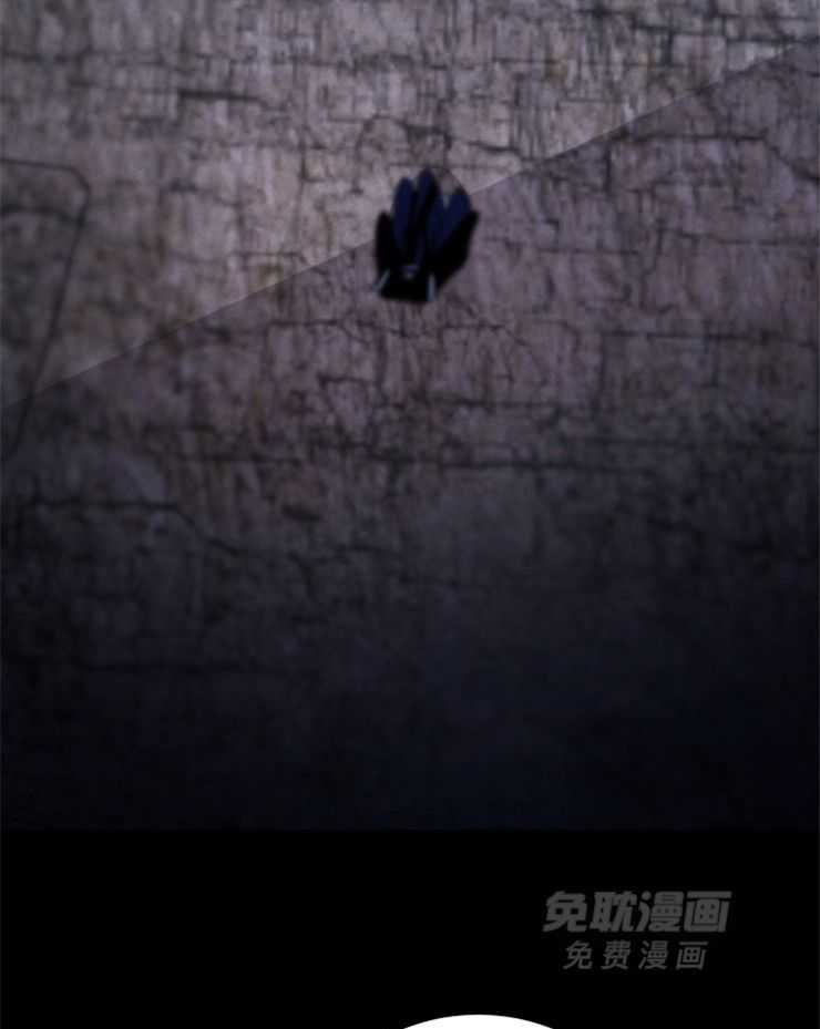 珊瑚食者 第84话 第15页