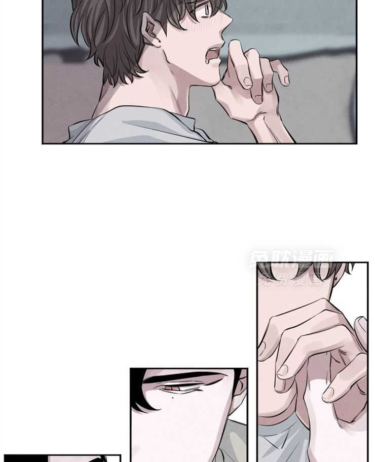 珊瑚食者 第88话 第17页