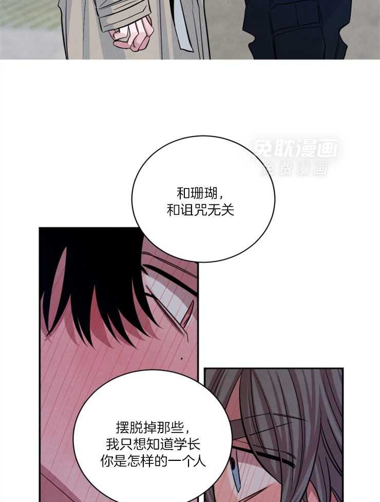 珊瑚食者第93话图