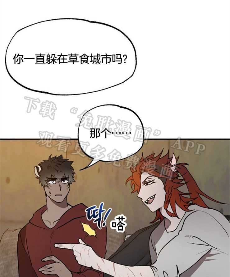 食谱不同又怎样第11话图