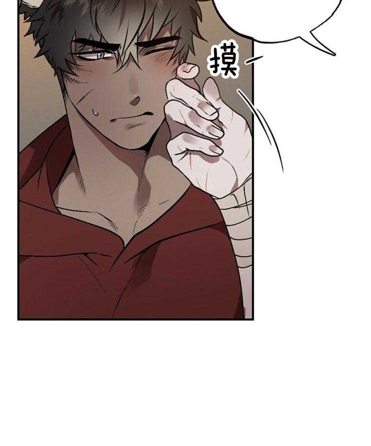 食谱不同又怎样第11话图