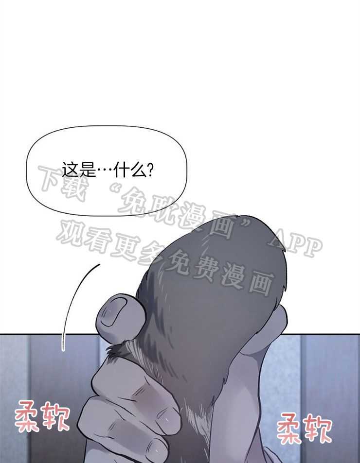 食谱不同又怎样第4话图