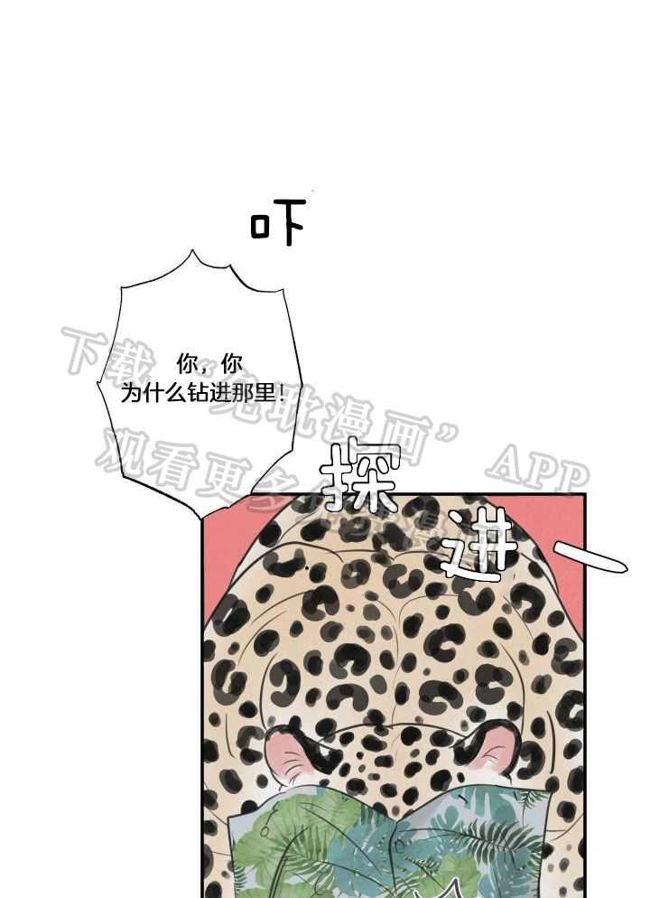 狩猎游戏第10话图