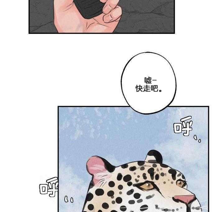 狩猎游戏第11话图