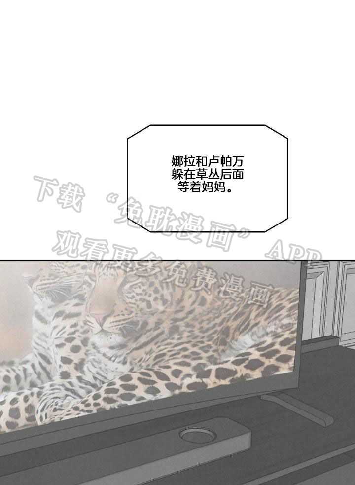 狩猎游戏第17话图