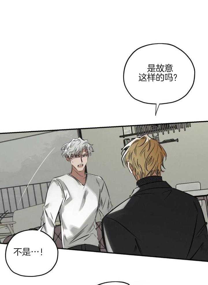 神父的秘密第38话图