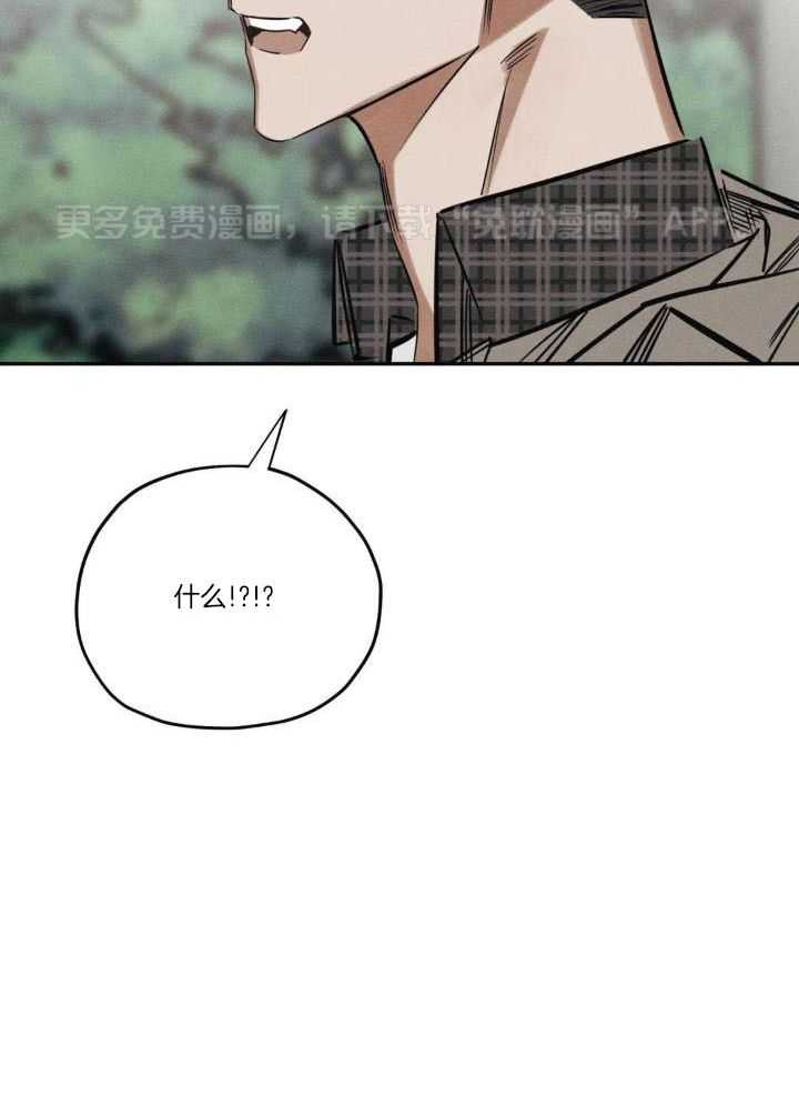 神父的秘密第49话图