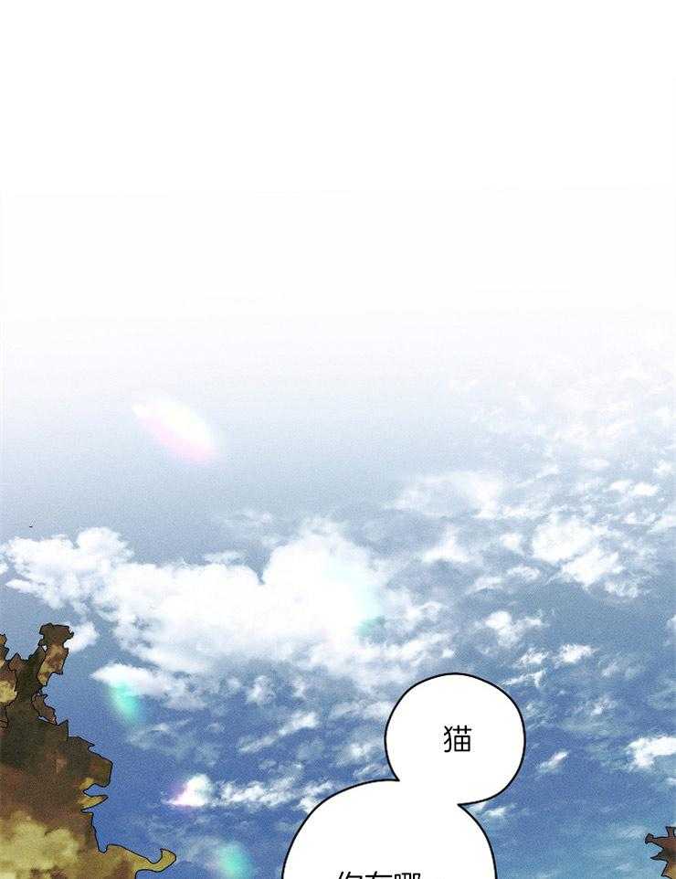 是偶然么第10话图