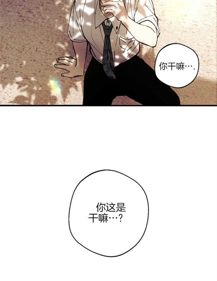 是偶然么第10话图