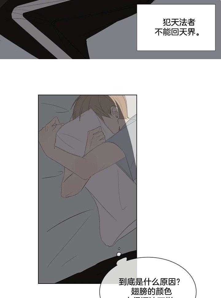 神明入世 第6话 第4页