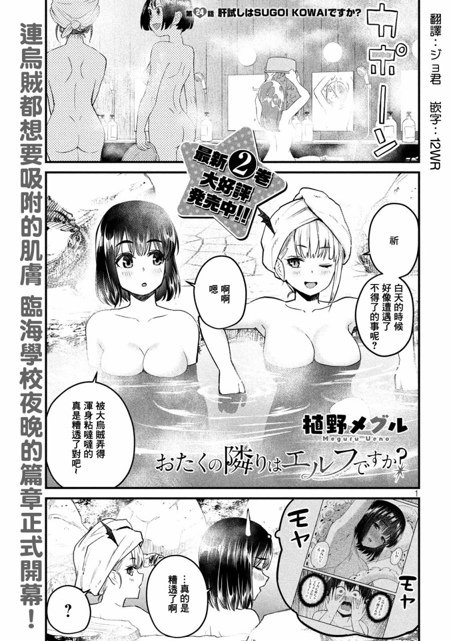 死宅的隔壁住着精灵？24话图