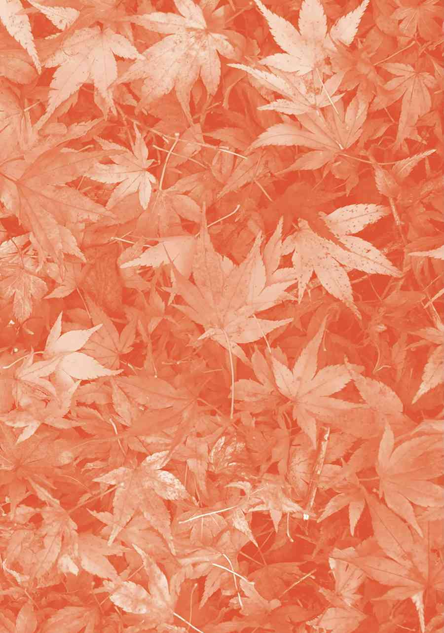 14岁恋爱 番外12 第9页