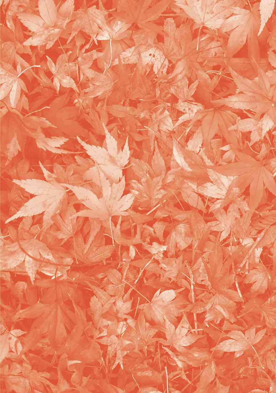 14岁恋爱 番外12 第10页