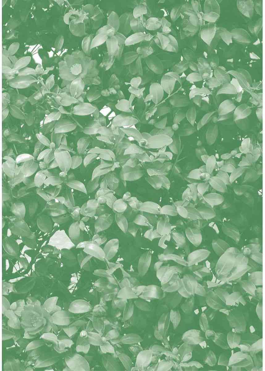 14岁恋爱 番外13 第12页