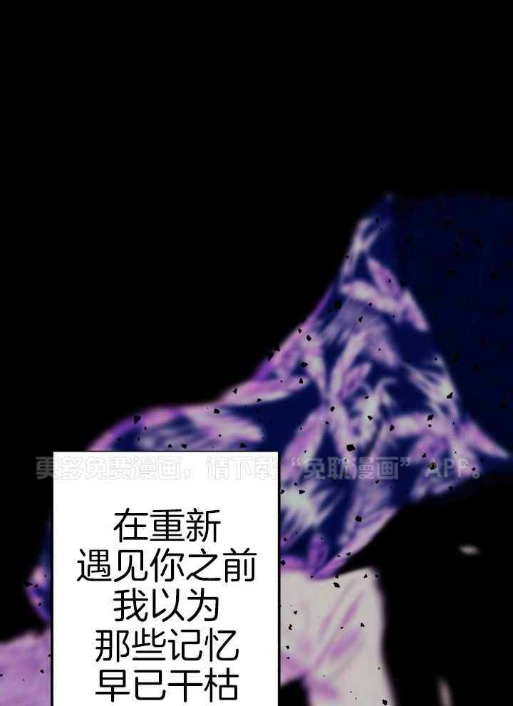 失忆后影帝总烦我第31话图