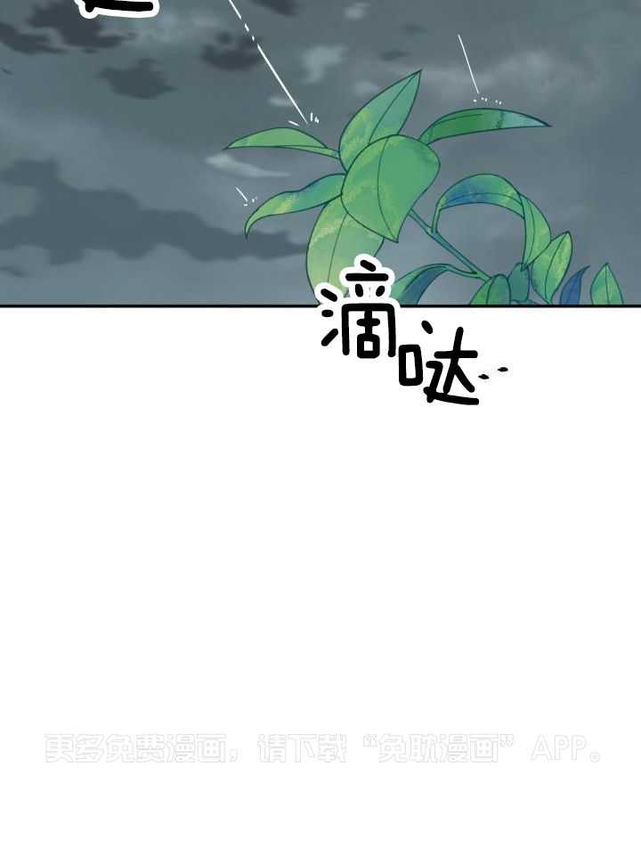 失忆后影帝总烦我第61话图