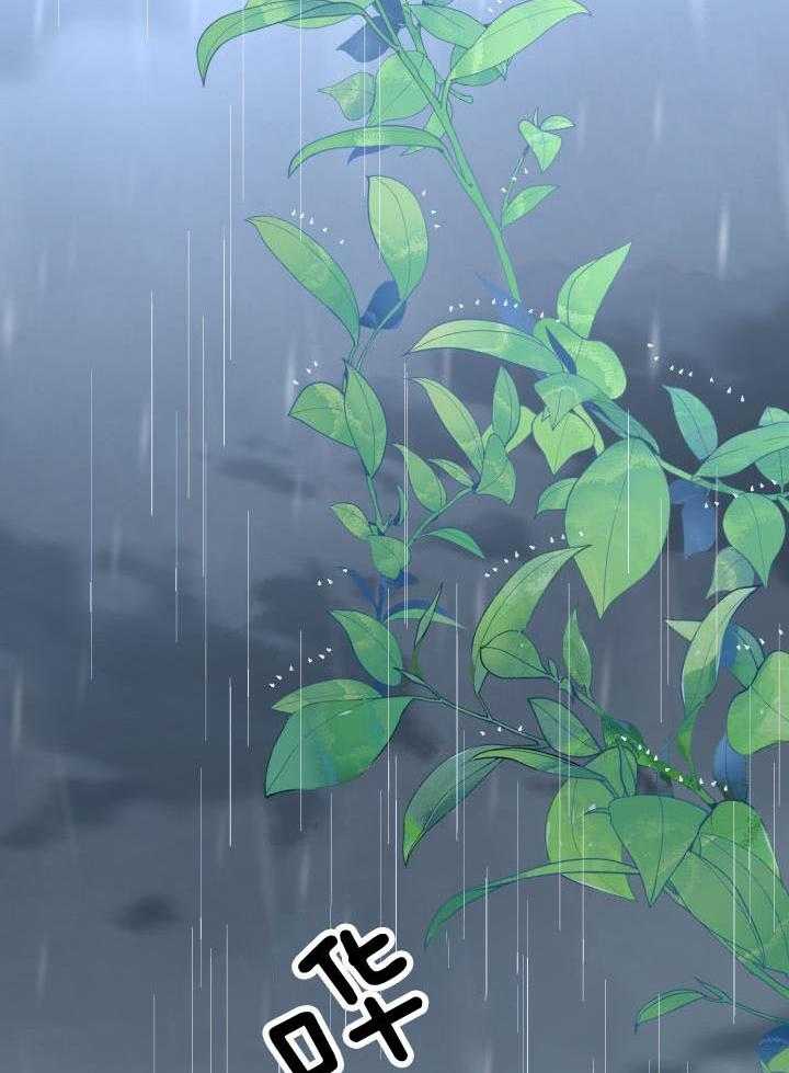 失忆后影帝总烦我第70话图