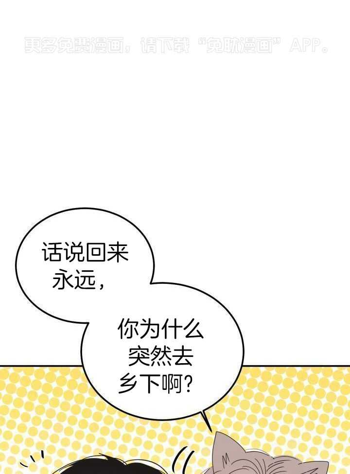 失忆后影帝总烦我第74话图