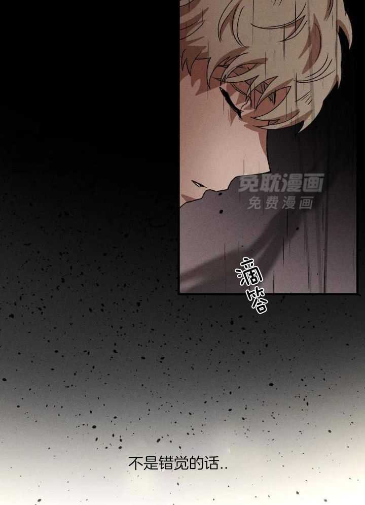 双面伪装第100话图