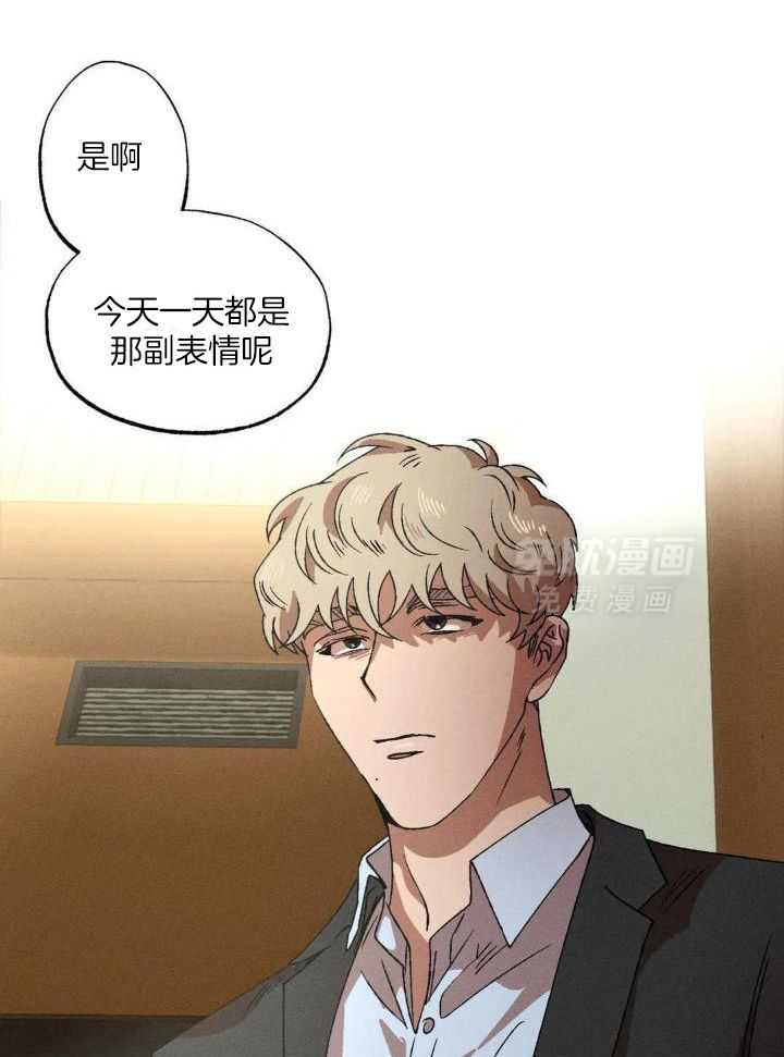 双面伪装第101话图