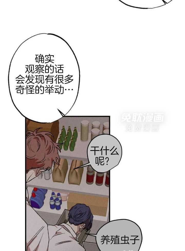 双面伪装第110话图