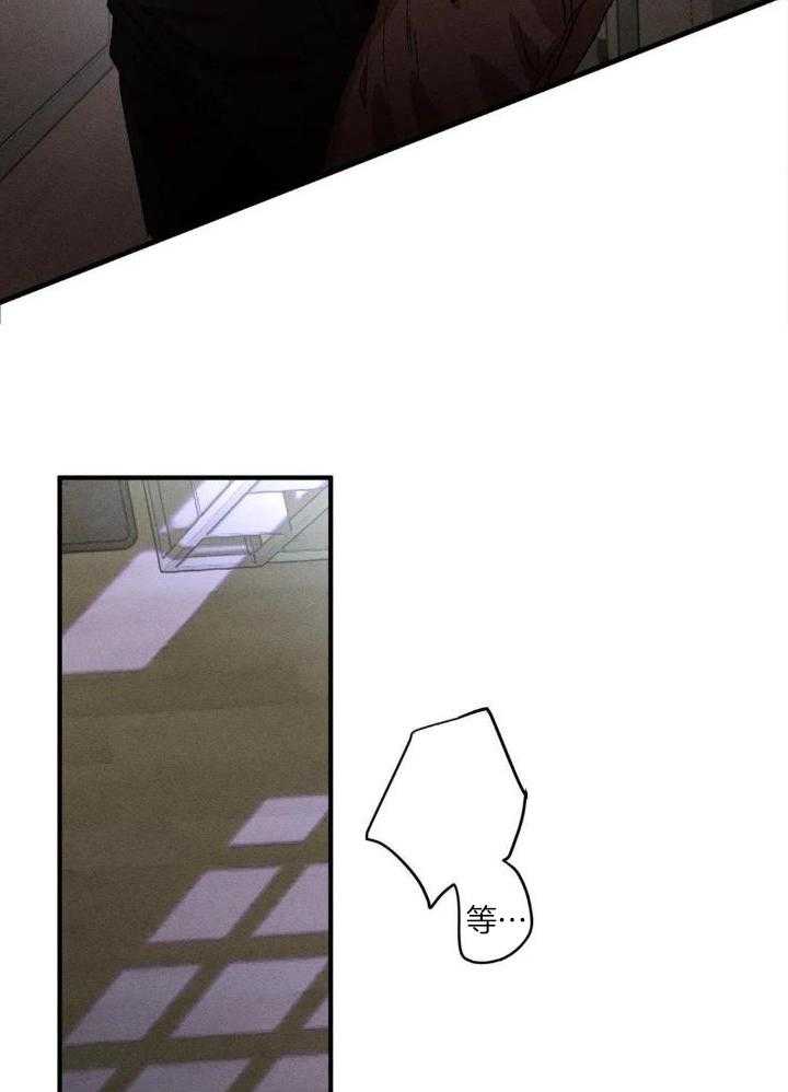 双面伪装第115话图