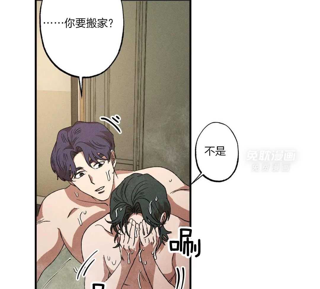 双面伪装第135话图