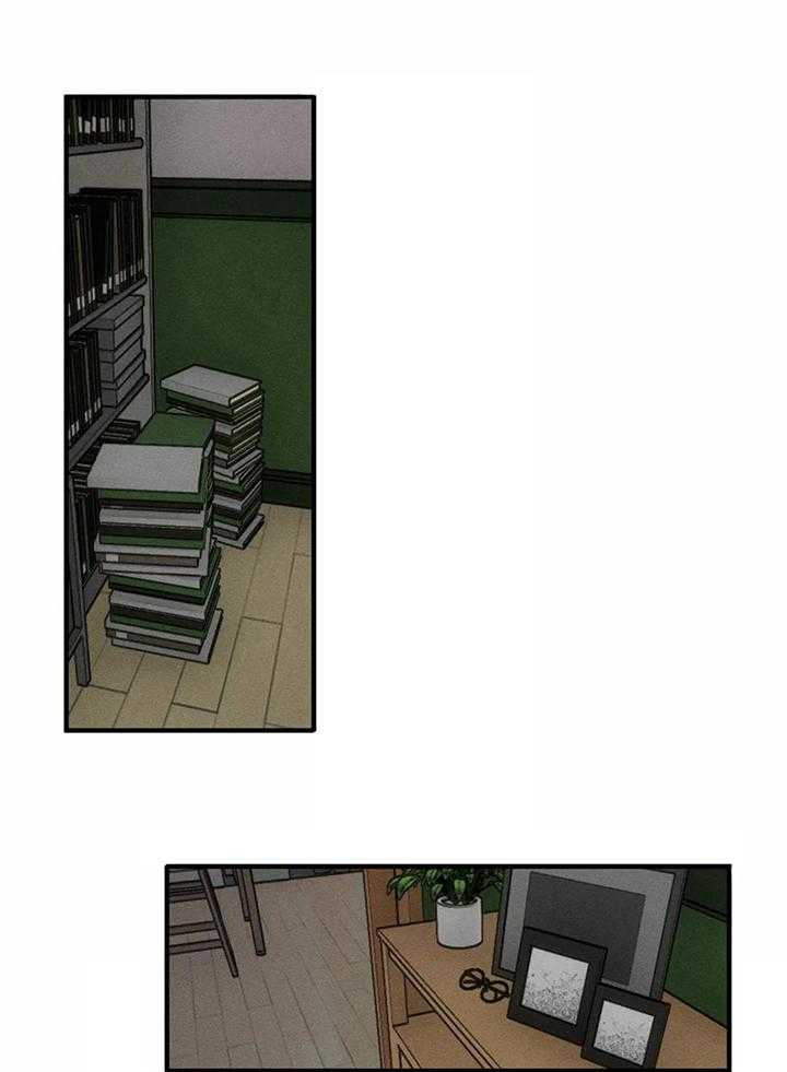 双面伪装第19话图