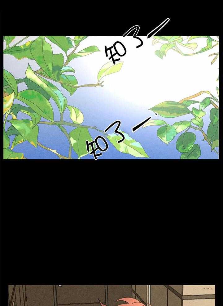 双面伪装第21话图