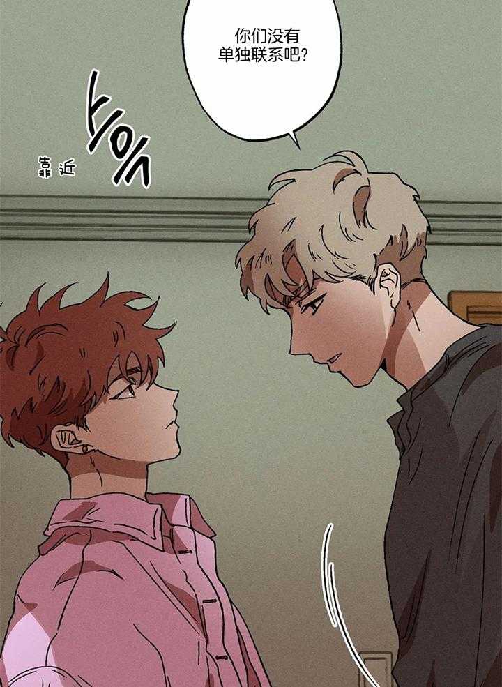 双面伪装第41话图