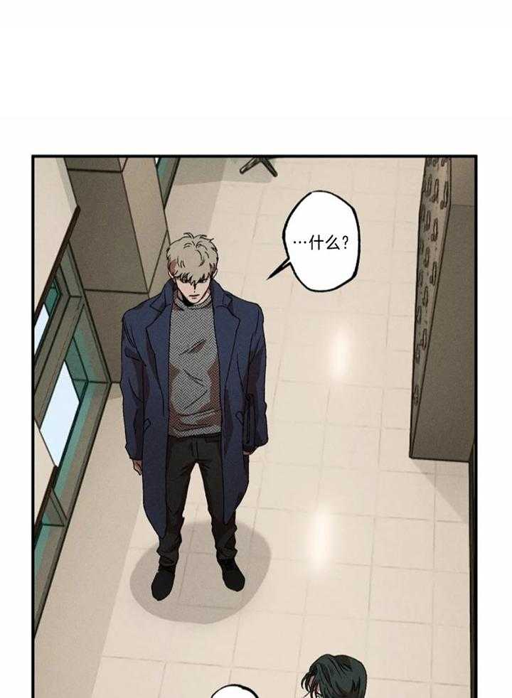 双面伪装第46话图