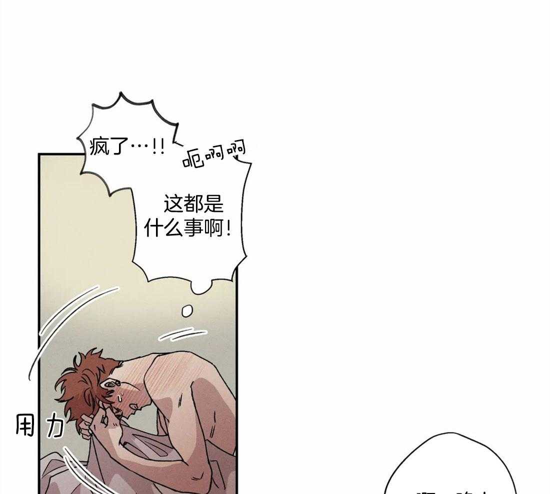 双面伪装第6话图