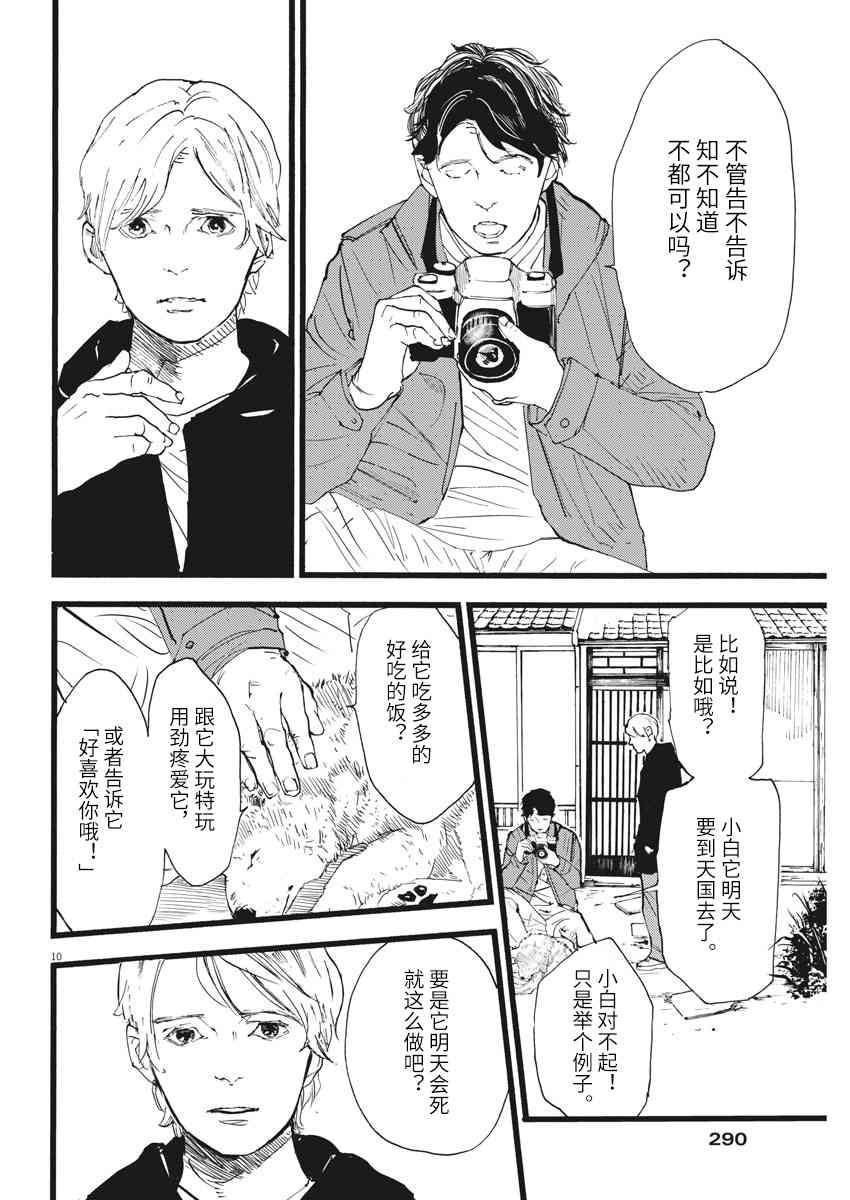 四分钟的金盏菊13话图