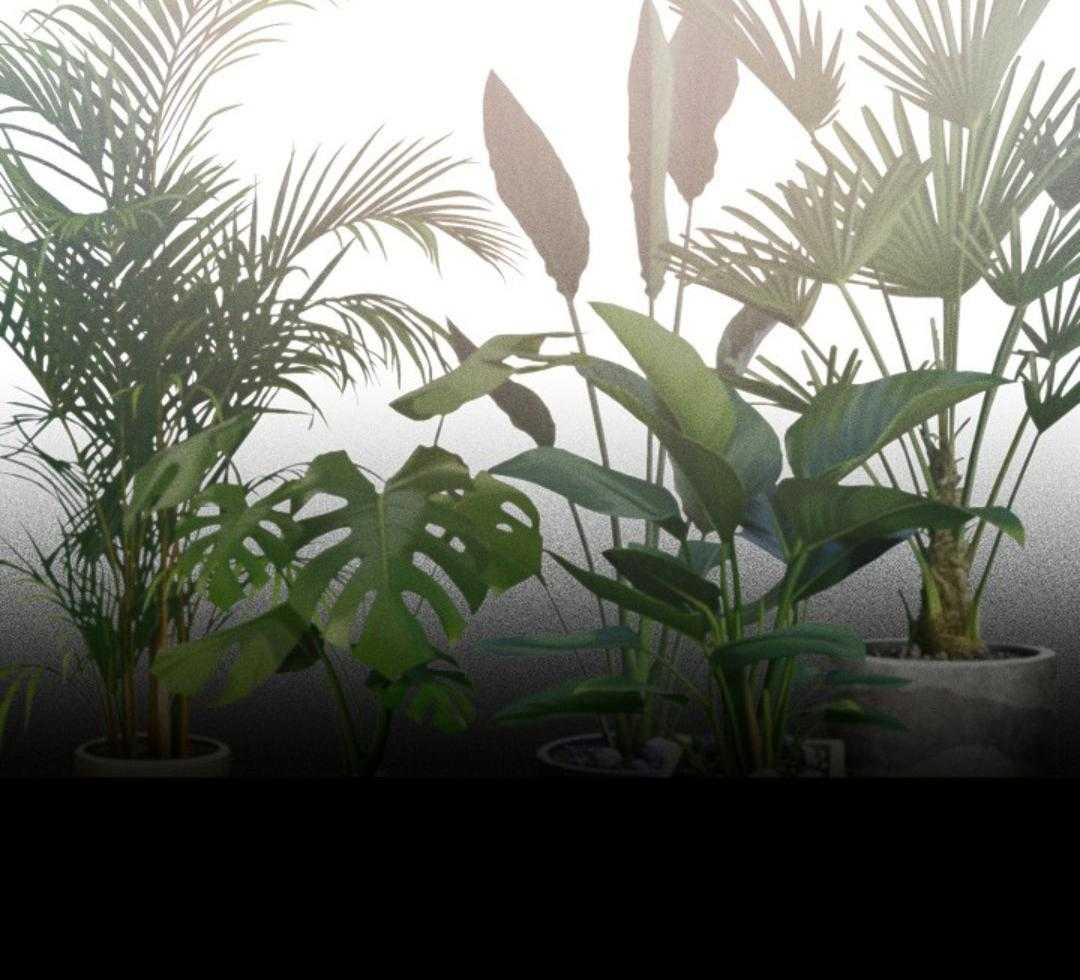 失格家族短篇选第29话图