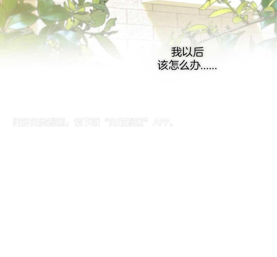 神明的印记第19话图