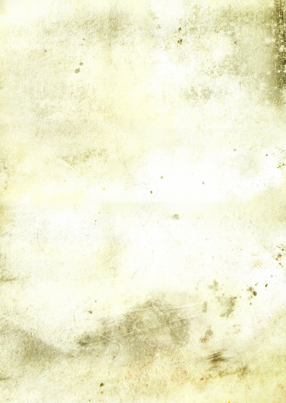 使命召唤：现代战争—肥皂日记 1卷 第101页