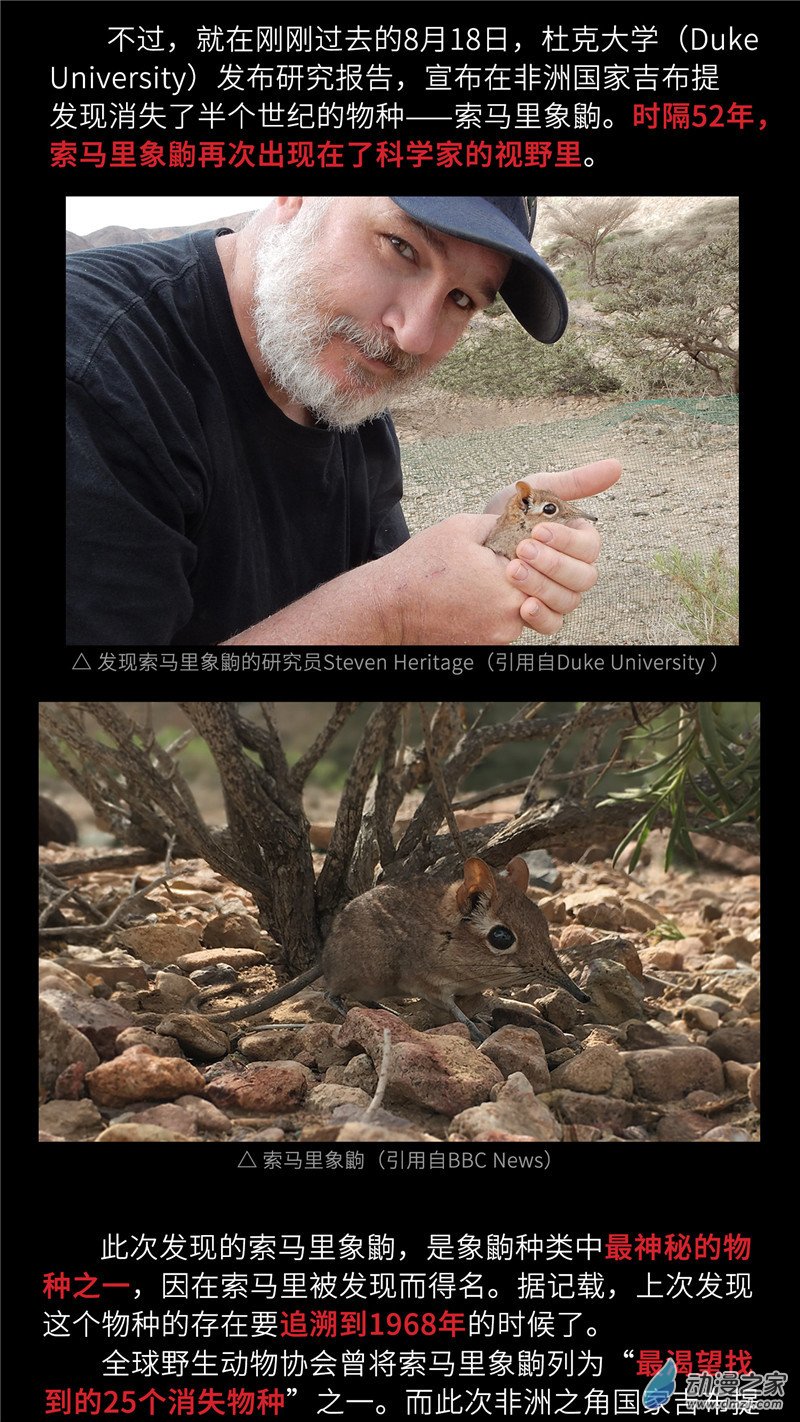 三木落 小剧场04 长鼻鼠的秘密 第6页