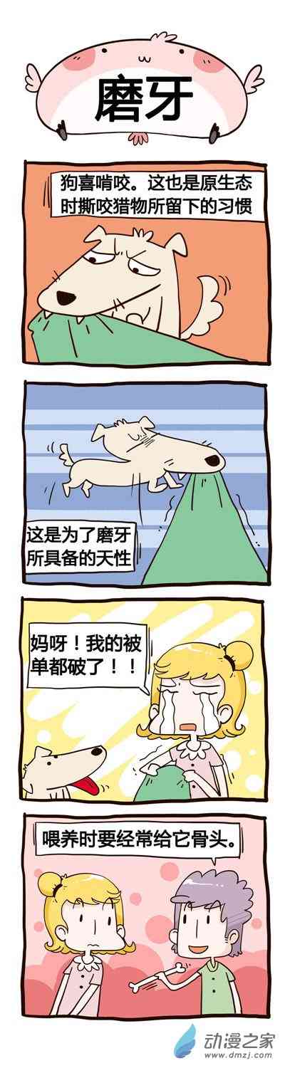share棒棒日之狗粮1话图