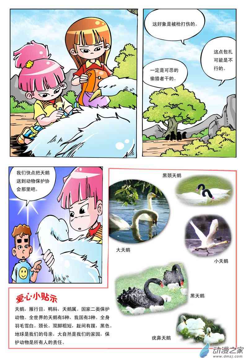 受伤的天鹅1话图