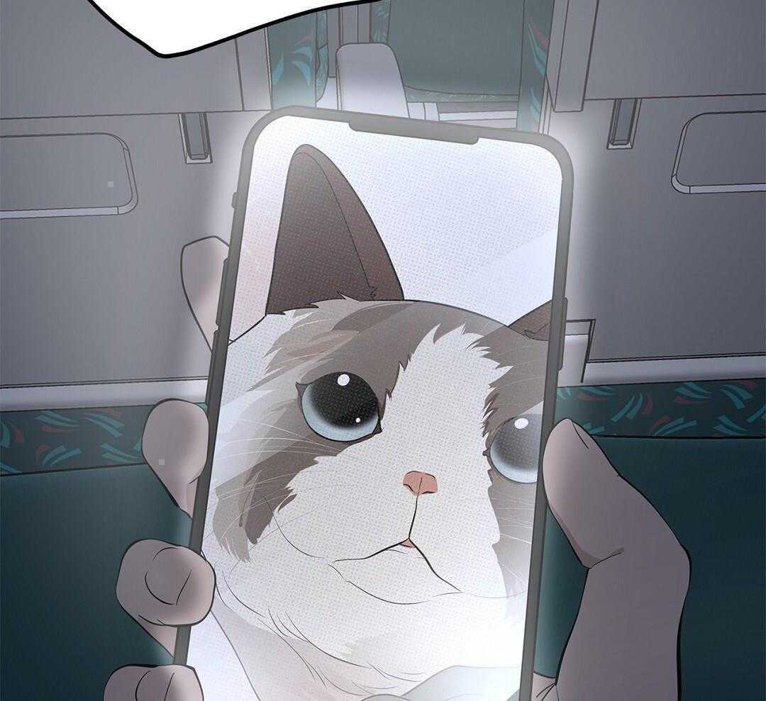 社死航班第24话图