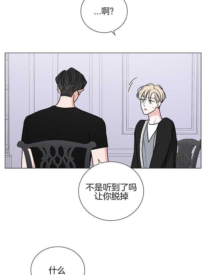 珊瑚虫第27话图