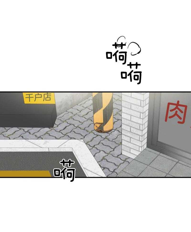 什么都！喜欢第10话图