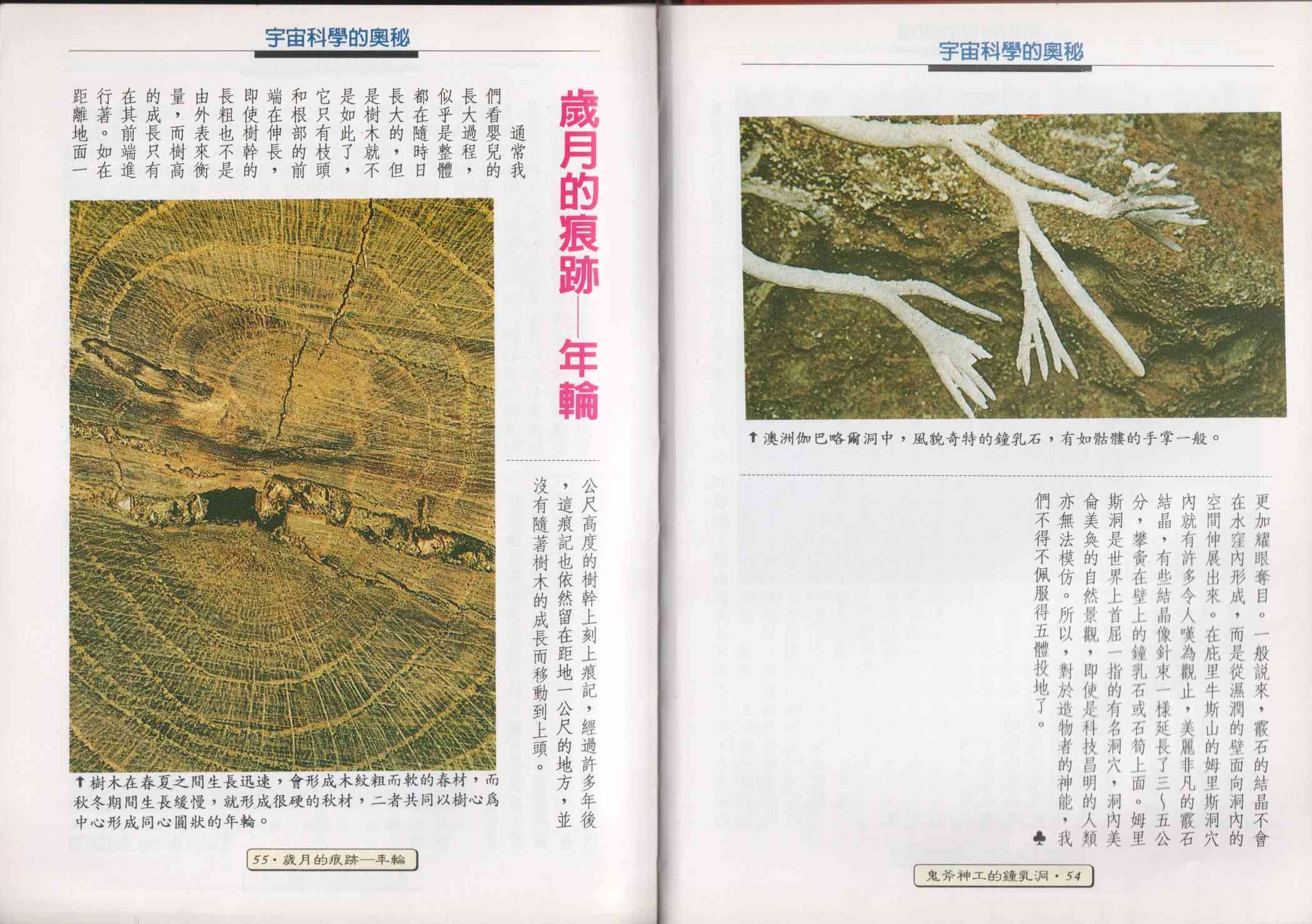 世界真奇妙 1卷 第29页