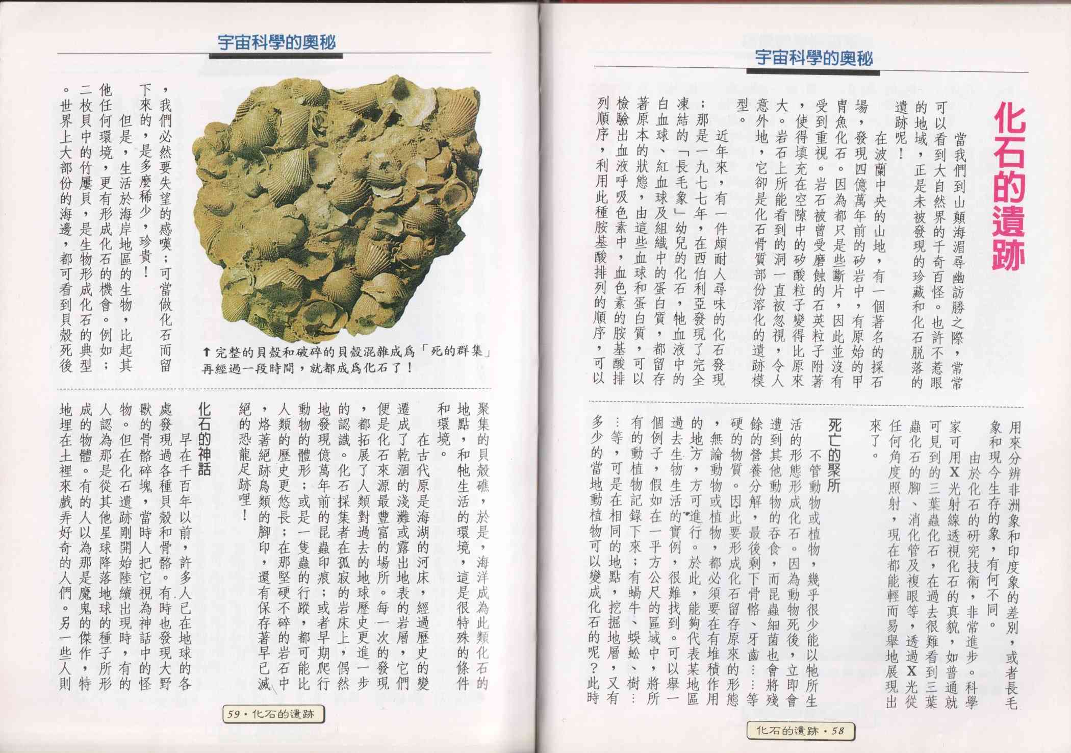 世界真奇妙 1卷 第31页