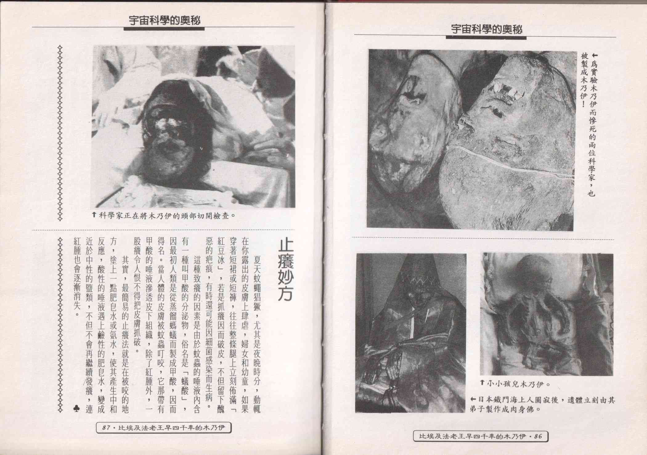 世界真奇妙 1卷 第45页